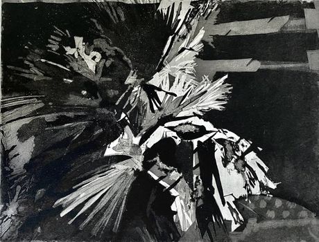 Palm II