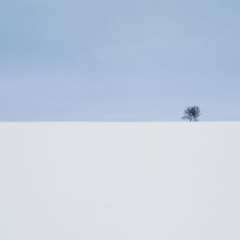 Winter blues