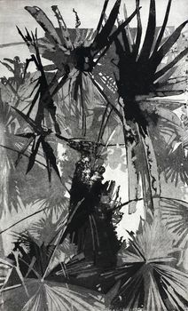 Palm (I)
